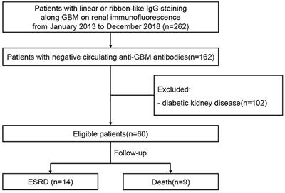 Clinical-Pathological Features and Outcome of Atypical Anti-glomerular Basement Membrane Disease in a Large Single Cohort